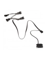 KOLINK   1-4 PWM LÜFTER SPLITTERKABEL - 35 CM (PGWACKOL049)  (PGWACKOL049) - nr 2
