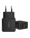 Ansmann Home Charger HC218PD CA - nr 36