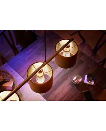 PHILIPS HUE White E14 5,7W 929002440603