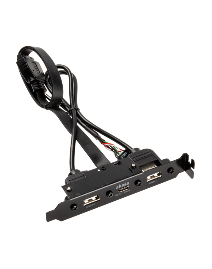 AKASA AKASA AKASA WEWNĘTRZNY KABEL ADAPTERA USB 3.1 GEN 1 Z DWOMA PORTAMI USB 2.0 TYPU A DARMOWA DOSTAWA (AKCBUB5340B (AKCBUB5340BK)  (AKCBUB5340BK) główny