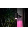 PHILIPS HUE White and color ambiance Lily czarny 1742830P7 - nr 22