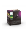 PHILIPS HUE White and color ambiance Lily czarny 1742830P7 - nr 37
