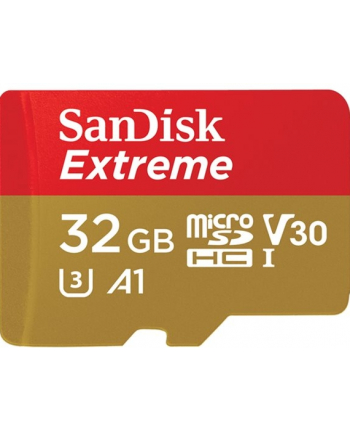 Sandisk microSDHC ActionSC 32GB 2x Extr.100MB SDSQXAF-032G-GN6AT