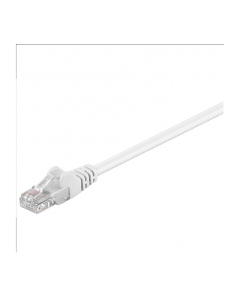 Wentronic CAT 5-025 UTP White 0.25m (68614)