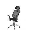 Ergoofice.Eu Siatkowe Ergonomiczne Krzesło Biurowe Ergooffice - nr 1