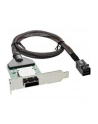 InLine SAS HD Low Profile Adapter Bracket zewn. SFF-8088 - wewn. SFF-8643 0.5m (27656A) - nr 3