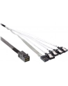 InLine Kabel Mini SAS HD SFF-8643 - 4x SATA + Sideband 1m (27630B) - nr 7