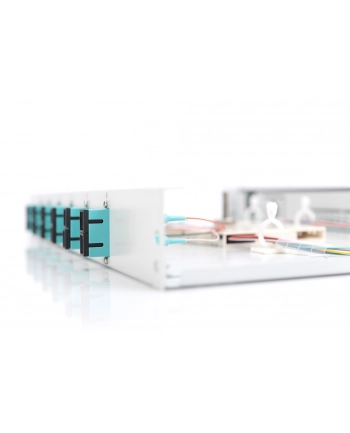Digitus Professional Rozdzielacz światłowodu 6 Portów SC 1U (DN963203) nr 1