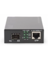 DIGITUS  PROFESSIONAL (DN82140) - nr 33