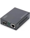 DIGITUS  PROFESSIONAL (DN82140) - nr 38