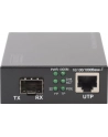 DIGITUS  PROFESSIONAL (DN82140) - nr 39