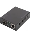 DIGITUS  PROFESSIONAL (DN82140) - nr 44