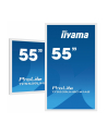 iiyama Monitor 55 cali TF5539UHSC-W1AG IPS,24/7,4K,IP54,500cd,7H,POJ.15p,LAN - nr 15