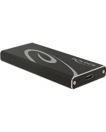 Delock Kieszeń USB3.1 (42572)