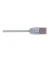 TELTONIKA Ethernet cable 1.5M - nr 1