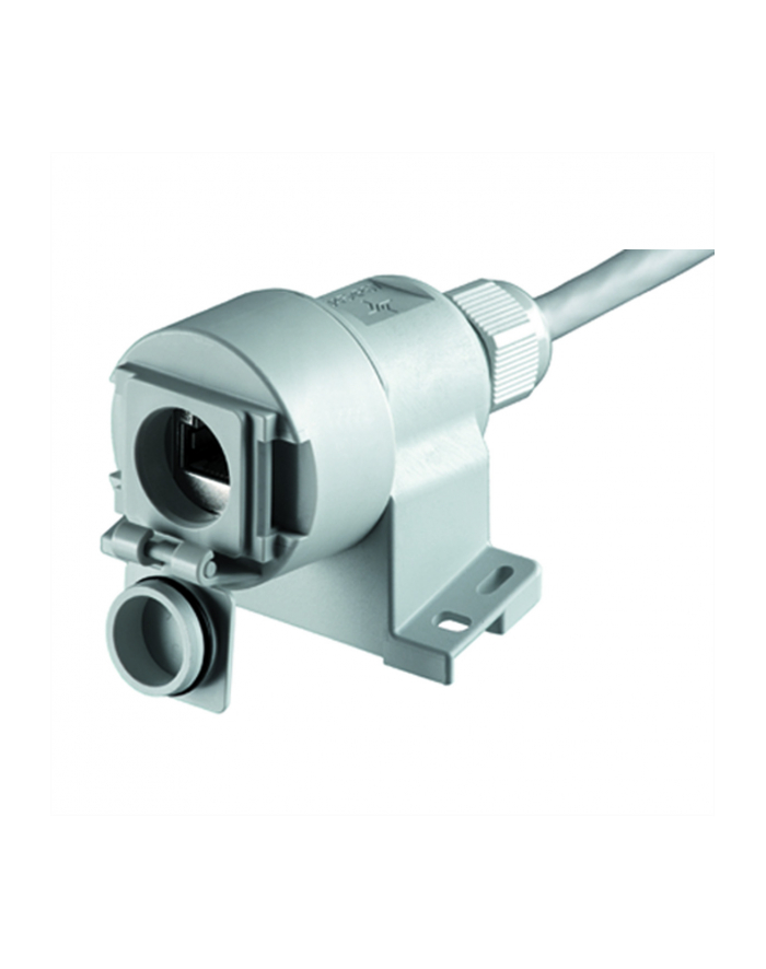 Telegaertner Złącze J00020A0436 Złącze Żeńskie Proste Jasnoszary główny