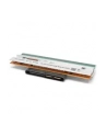 ZEBRA  KIT PRINTHEAD 300DPI ZT510  CPNT  (P1083347006) - nr 7