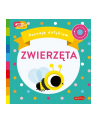 harpercollins Książka Akademia Mądrego Dziecka. Poznaję dotykiem. Zwierzęta - nr 1