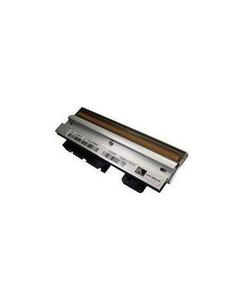 Zebra TLP2824 Printhead Assy., (203 dpi) (G105910-148)