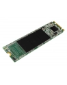 silicon power Dysk SSD A55 256GB M.2 560/530 MB/s - nr 6