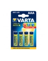 Varta battery (box) AAA, battery box (10 pieces, AAA) - nr 6