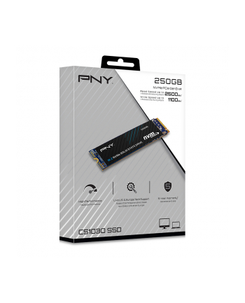 pny Dysk SSD 250GB M.2 2280 CS1030 M280CS1030-250-RB