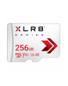 pny Karta pamięci MicroSDXC 256GB P-SDU256V32100XR-GE - nr 1