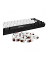 Sharkoon Kailh Box Brown switch set, key switches (brown/transparent, 35 Pieces) - nr 11