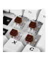 Sharkoon Kailh Box Brown switch set, key switches (brown/transparent, 35 Pieces) - nr 16