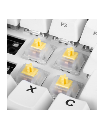 Sharkoon Gateron Cap Milky-Yellow switch set, button switches (yellow/Kolor: BIAŁY, 35 pieces)