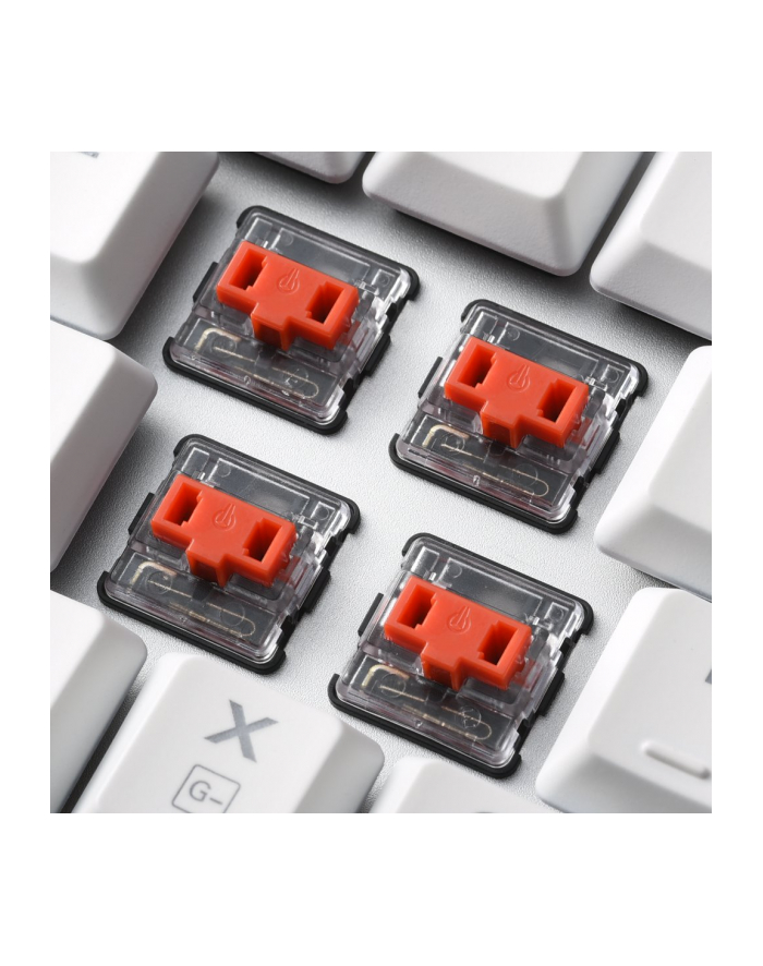 Sharkoon PureWriter RGB, gaming keyboard (Kolor: BIAŁY, US layout, kailh choc low Profile red) główny