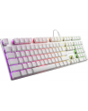 Sharkoon PureWriter RGB, gaming keyboard (Kolor: BIAŁY, US layout, kailh choc low profile blue) - nr 6