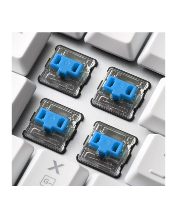 Sharkoon PureWriter TKL RGB, gaming keyboard (Kolor: BIAŁY, US layout, kailh blue)