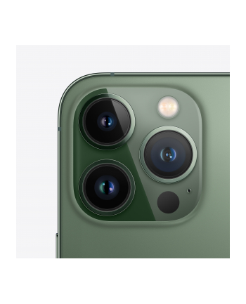Apple iPhone 13 Pro - 6.1 - 256GB - Alpine Green - iOS - MNE33ZD/A