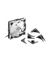 Sharkoon SilentStorm 140 PWM RGB Fan, case fan - nr 13