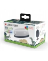 Ledlenser Headlight Kidcamp6 green - 502753 - nr 3