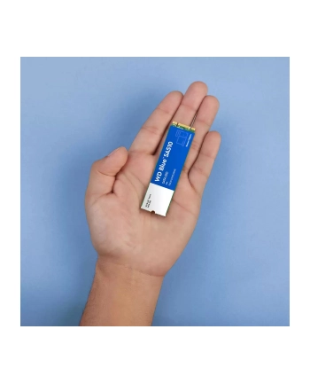 western digital Dysk SSD Blue 1TB SA510 M.2 2280 WDS100T3B0B nr 2