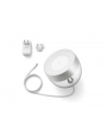 Philips 8719514411524 Hue White and color ambiance Iris silver special edition - nr 8