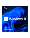 Microsoft FQC-10532 Windows 11 Pro 1 x licencja - nr 10