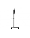 StarTech MBLTVSTNDEC .com uchwyt do telewizorów 177,8 cm (70') Czarny - nr 1