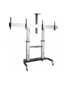 StarTech STNDMTVDUO .com uchwyt do telewizorów 152,4 cm (60') Czarny, Srebrny - nr 14