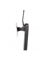 StarTech FPPNEUSTND .com uchwyt / stojak do monitorów 86,4 cm (34') Czarny - nr 28