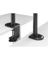Equip 650159 uchwyt / stojak do monitorów 81,3 cm (32') Zacisk Czarny - nr 10