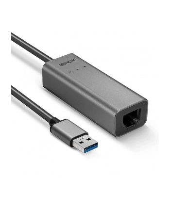 Lindy 43313 zmieniacz płci / kabli USB-A RJ-45 Srebrny nr 1