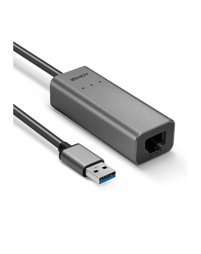 Lindy 43313 zmieniacz płci / kabli USB-A RJ-45 Srebrny główny