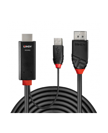 Lindy 41499 adapter kablowy 2 m HDMI + USB Type-A DisplayPort Czarny