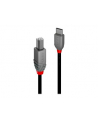 Lindy 36942 kabel USB 2 m USB 2.0 USB C USB B Czarny - nr 18