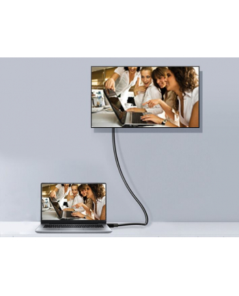 Equip 119265 kabel DisplayPort 5 m Aluminium, Czarny