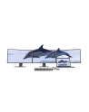 Alogic DUCDDV3 DV3 Przewodowa USB 3.2 Gen 1 (3.1 Gen 1) Type-C Srebrny - nr 18