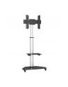 TECHLY Floor Stand with Shelf Trolley TV LCD/LED/Plasma 37-70inch Silver - nr 37